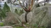 462 Masons Road, Everton Upper, Vic 3678-Image