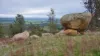 462 Masons Road, Everton Upper, Vic 3678-Image