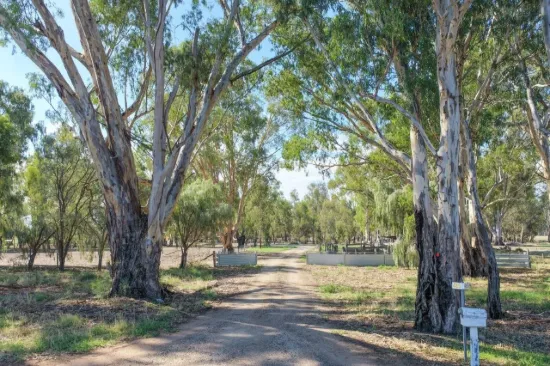 465 East, Barham NSW 2732-Image