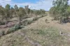 465 East, Barham NSW 2732-Image