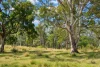 47, Hogarth Range Road, Hogarth Range, NSW 2469-Image
