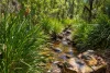 47, Hogarth Range Road, Hogarth Range, NSW 2469-Image