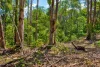 47, Hogarth Range Road, Hogarth Range, NSW 2469-Image