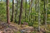 47, Hogarth Range Road, Hogarth Range, NSW 2469-Image