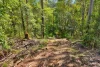 47, Hogarth Range Road, Hogarth Range, NSW 2469-Image