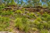 47, Hogarth Range Road, Hogarth Range, NSW 2469-Image