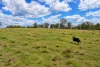 47, Hogarth Range Road, Hogarth Range, NSW 2469-Image