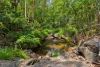 47, Hogarth Range Road, Hogarth Range, NSW 2469-Image
