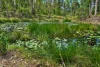 47, Hogarth Range Road, Hogarth Range, NSW 2469-Image