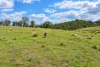 47, Hogarth Range Road, Hogarth Range, NSW 2469-Image