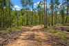 47, Hogarth Range Road, Hogarth Range, NSW 2469-Image