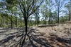 471 Glens Creek Road, Nymboida, NSW 2460-Image