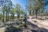 471 Glens Creek Road, Nymboida, NSW 2460-Image