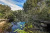 471 Red Rock Road, Red Rock, NSW 2456-Image