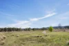 4715 Cooma Road, Krawarree, NSW 2622-Image