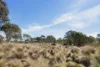 4715 Cooma Road, Krawarree, NSW 2622-Image
