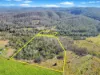 476 Paddys Flat Road, Tabulam, NSW 2469