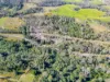 476 Paddys Flat Road, Tabulam, NSW 2469-Image