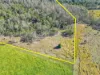476 Paddys Flat Road, Tabulam, NSW 2469-Image