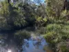 476 Paddys Flat Road, Tabulam, NSW 2469-Image