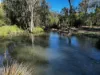 476 Paddys Flat Road, Tabulam, NSW 2469-Image