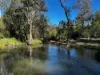 476 Paddys Flat Road, Tabulam, NSW 2469-Image