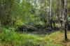 476 WALLACE ROAD, Terania Creek, NSW 2480-Image