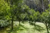 476 WALLACE ROAD, Terania Creek, NSW 2480-Image
