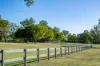 477 Brookland Road, Allenview QLD 4285-Image