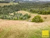 478 Foster-Mirboo Rd, Dollar, Vic 3871-Image