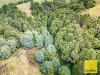 478 Foster-Mirboo Rd, Dollar, Vic 3871-Image