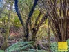 478 Foster-Mirboo Rd, Dollar, Vic 3871-Image