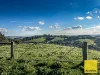 478 Foster-Mirboo Rd, Dollar, Vic 3871-Image