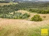 478 Foster-Mirboo Road, Dollar VIC 3871-Image