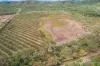 48 Ericson Road, Dimbulah, Qld 4872-Image