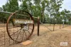 48 Marni Lane, Miles, Qld 4415