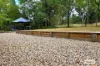 48 Marni Lane, Miles, Qld 4415-Image