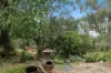 480 Russell Creek Road, Hill End, Vic 3825-Image