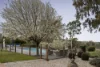 481 Bendigo-Sutton Grange Road, Elphinstone, Vic 3448-Image