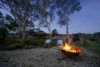 481 Bendigo-Sutton Grange Road, Elphinstone, Vic 3448-Image