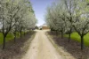 481 Bendigo-Sutton Grange Road, Elphinstone, Vic 3448-Image
