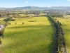 482-542 McDonalds Road, Pokolbin, NSW 2320-Image