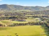 482-542 McDonalds Road, Pokolbin, NSW 2320-Image