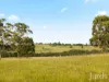 482-542 McDonalds Road, Pokolbin, NSW 2320-Image