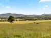 482-542 McDonalds Road, Pokolbin, NSW 2320-Image