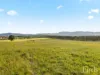 482-542 McDonalds Road, Pokolbin, NSW 2320-Image