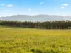 482-542 McDonalds Road, Pokolbin, NSW 2320-Image