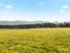 482-542 McDonalds Road, Pokolbin, NSW 2320-Image