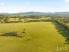482-542 McDonalds Road, Pokolbin, NSW 2320-Image