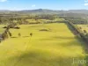 482-542 McDonalds Road, Pokolbin, NSW 2320-Image